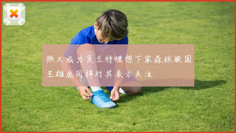 热火成为莫兰特理想下家森林狼国王雄鹿同样对其表示关注